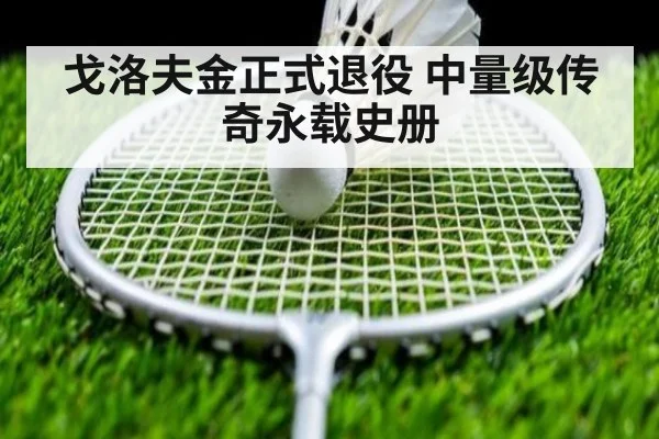 戈洛夫金正式退役 中量级传奇永载史册